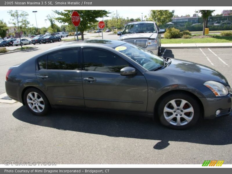Smoke Metallic / Frost 2005 Nissan Maxima 3.5 SE