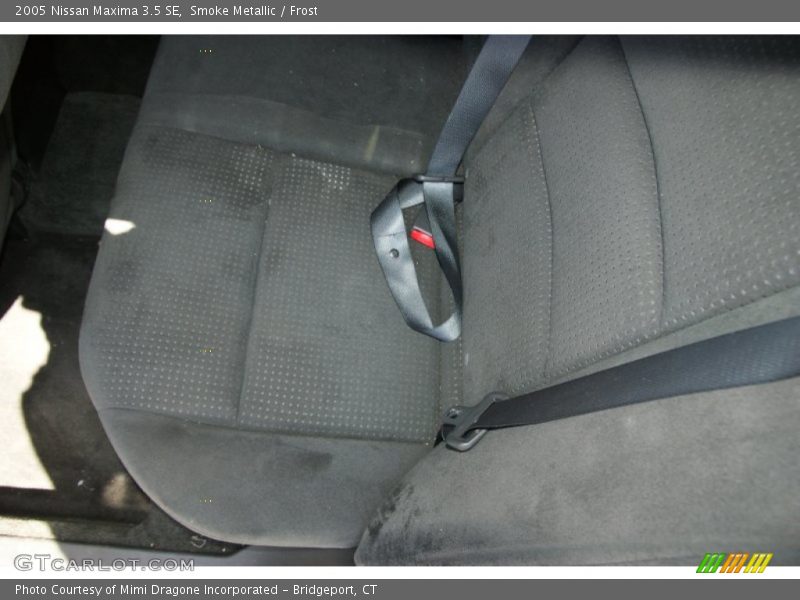 Smoke Metallic / Frost 2005 Nissan Maxima 3.5 SE