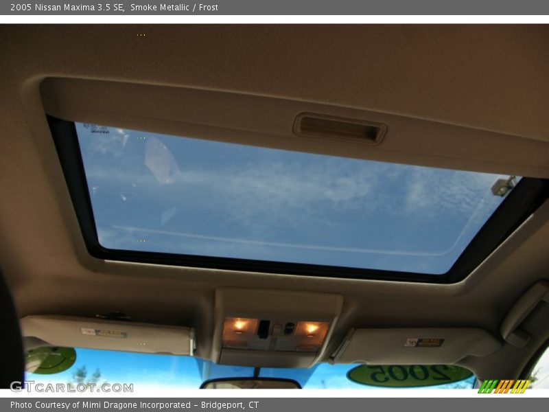 Smoke Metallic / Frost 2005 Nissan Maxima 3.5 SE