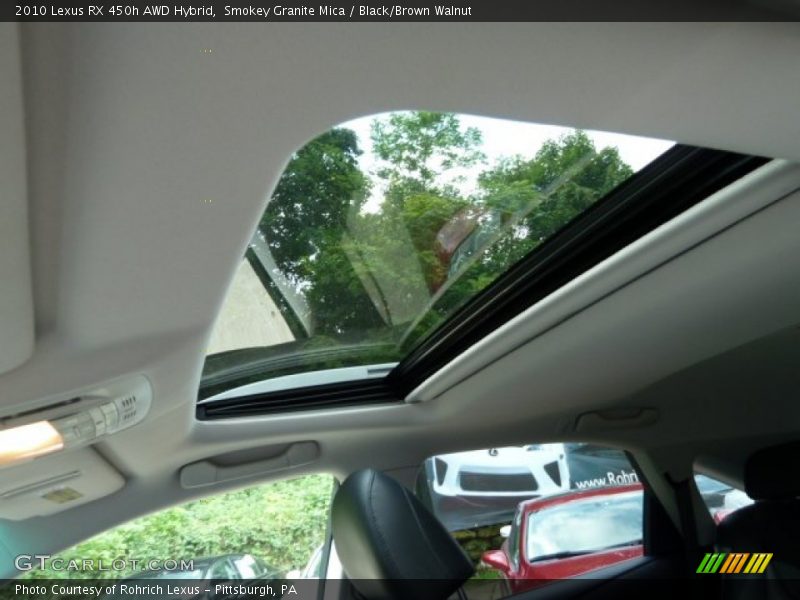 Smokey Granite Mica / Black/Brown Walnut 2010 Lexus RX 450h AWD Hybrid