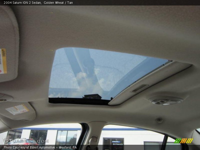 Golden Wheat / Tan 2004 Saturn ION 2 Sedan