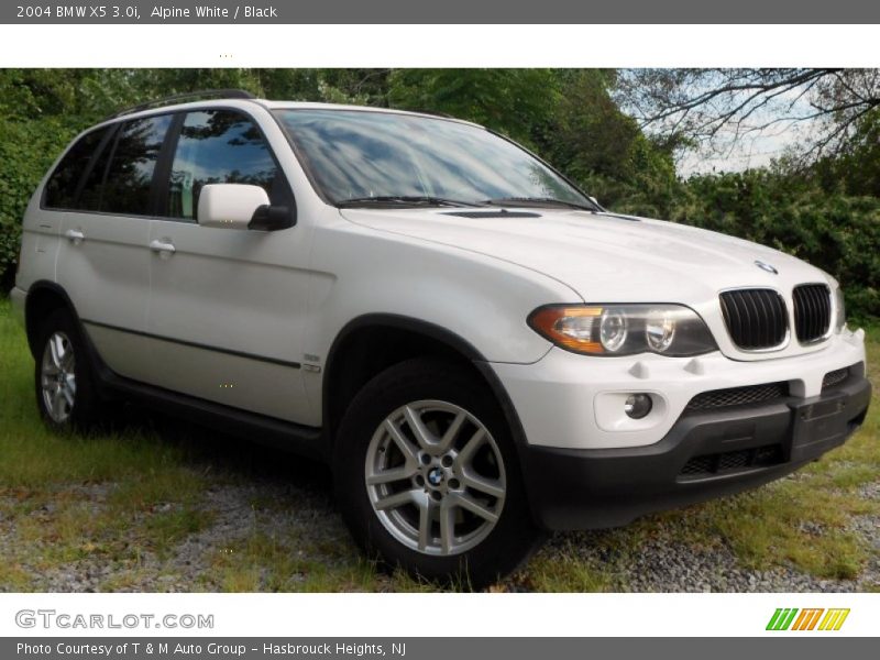 Alpine White / Black 2004 BMW X5 3.0i