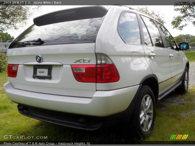 Alpine White / Black 2004 BMW X5 3.0i