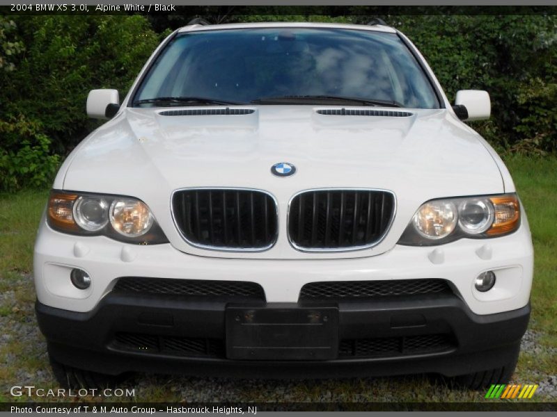 Alpine White / Black 2004 BMW X5 3.0i