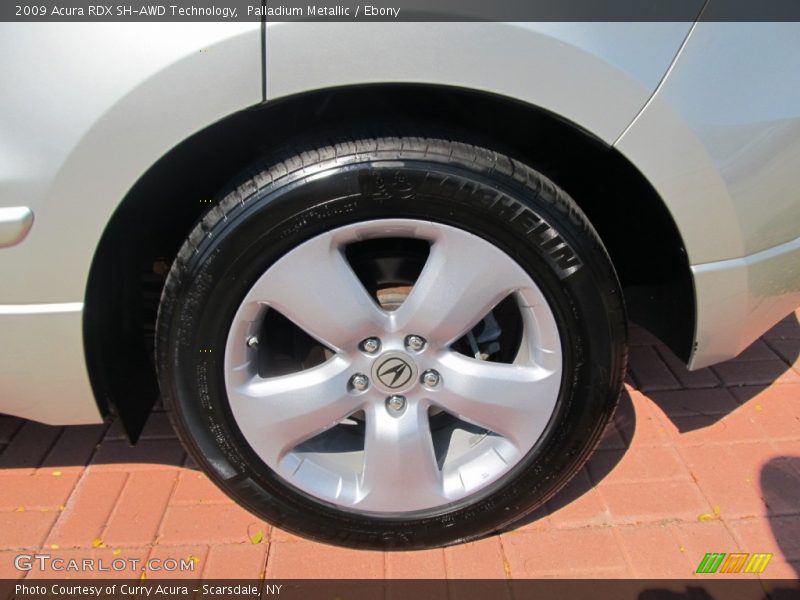 Palladium Metallic / Ebony 2009 Acura RDX SH-AWD Technology
