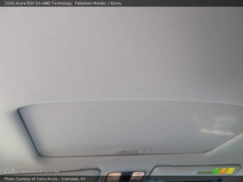 Palladium Metallic / Ebony 2009 Acura RDX SH-AWD Technology