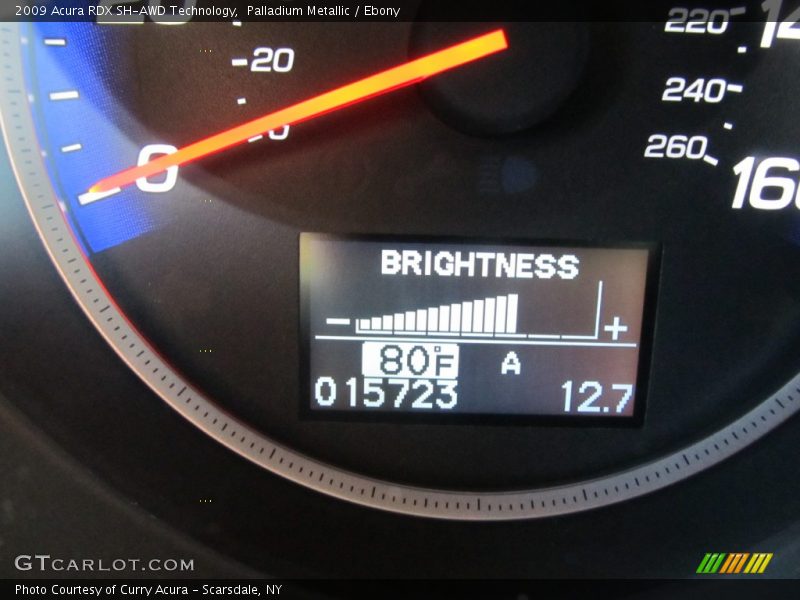 Palladium Metallic / Ebony 2009 Acura RDX SH-AWD Technology