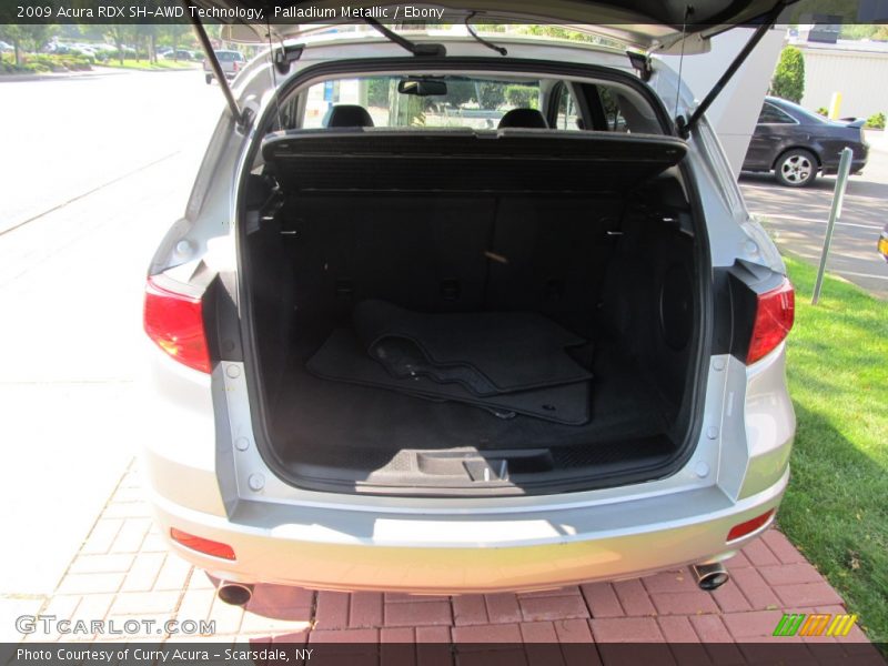 Palladium Metallic / Ebony 2009 Acura RDX SH-AWD Technology