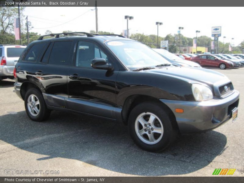 Black Obsidian / Gray 2004 Hyundai Santa Fe