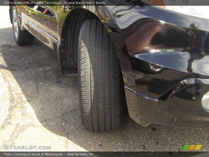 Crystal Black Pearl / Ebony 2009 Acura RDX SH-AWD Technology