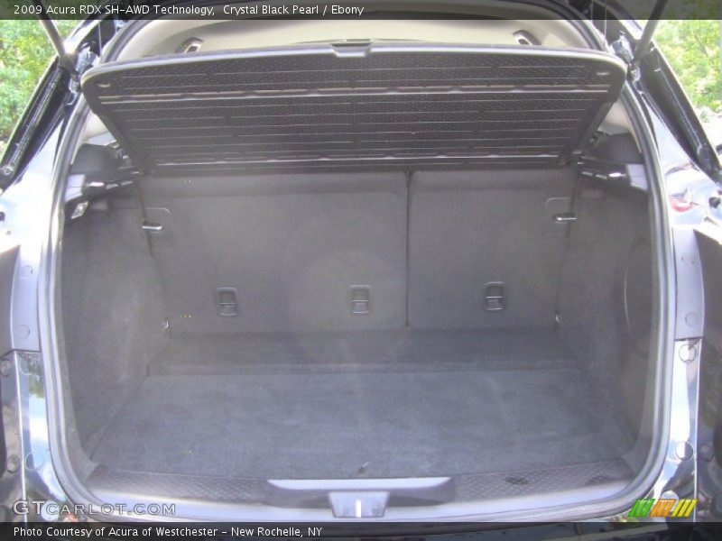 Crystal Black Pearl / Ebony 2009 Acura RDX SH-AWD Technology