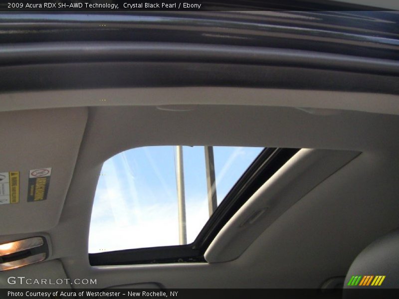 Crystal Black Pearl / Ebony 2009 Acura RDX SH-AWD Technology