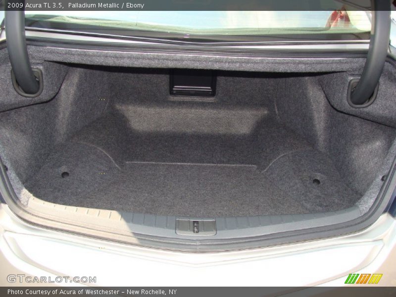 Palladium Metallic / Ebony 2009 Acura TL 3.5