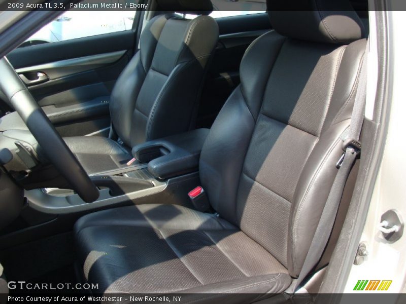 Palladium Metallic / Ebony 2009 Acura TL 3.5