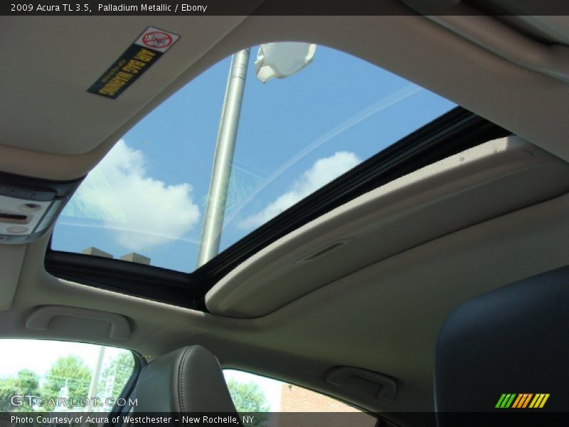 Palladium Metallic / Ebony 2009 Acura TL 3.5