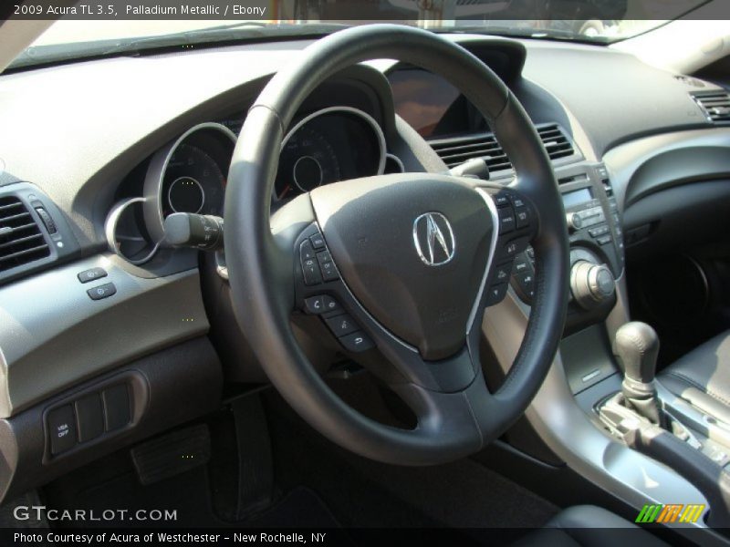 Palladium Metallic / Ebony 2009 Acura TL 3.5