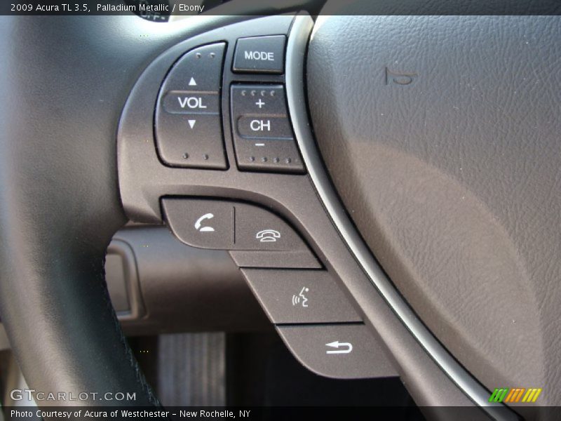 Palladium Metallic / Ebony 2009 Acura TL 3.5