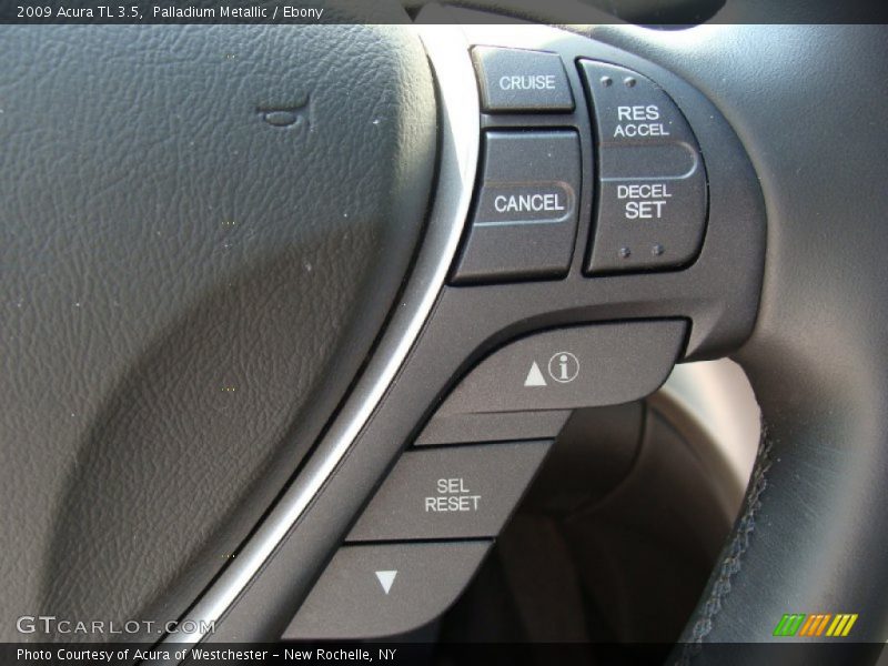 Palladium Metallic / Ebony 2009 Acura TL 3.5