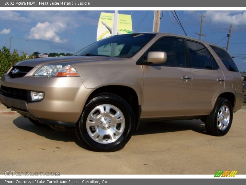 Mesa Beige Metallic / Saddle 2002 Acura MDX