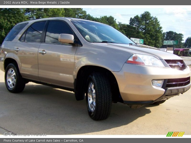 Mesa Beige Metallic / Saddle 2002 Acura MDX