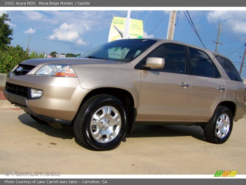 Mesa Beige Metallic / Saddle 2002 Acura MDX