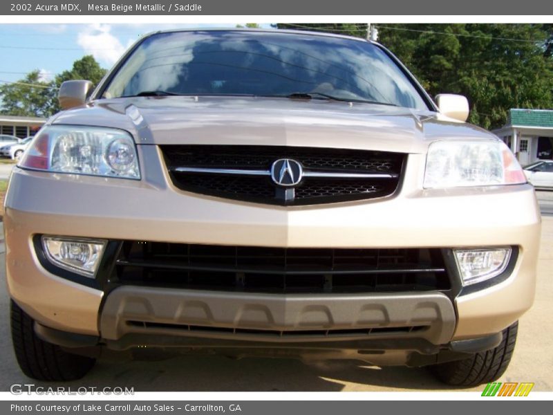 Mesa Beige Metallic / Saddle 2002 Acura MDX