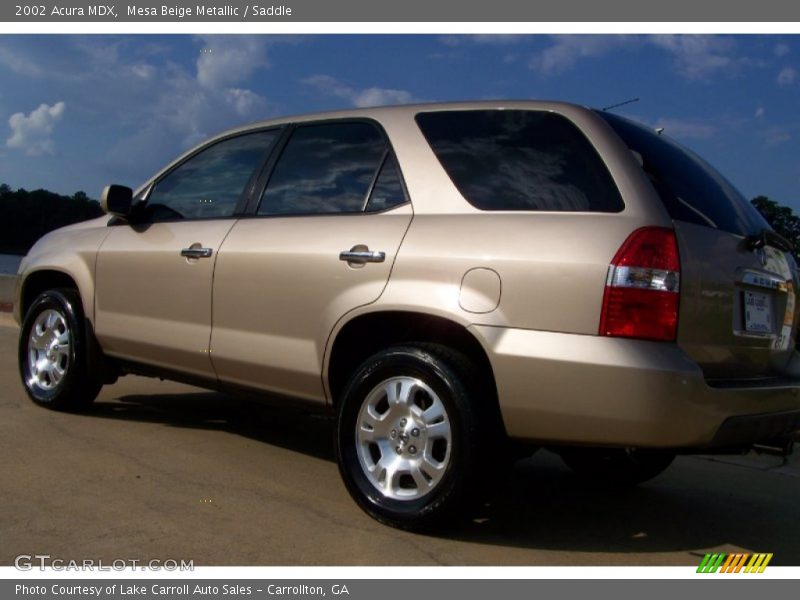 Mesa Beige Metallic / Saddle 2002 Acura MDX