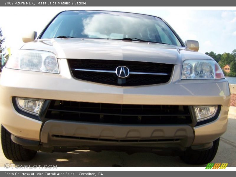 Mesa Beige Metallic / Saddle 2002 Acura MDX