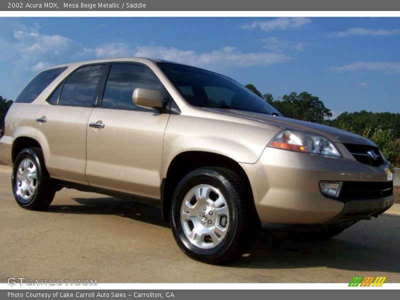 Mesa Beige Metallic / Saddle 2002 Acura MDX