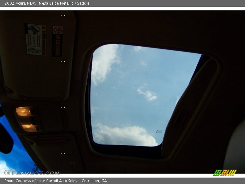 Mesa Beige Metallic / Saddle 2002 Acura MDX