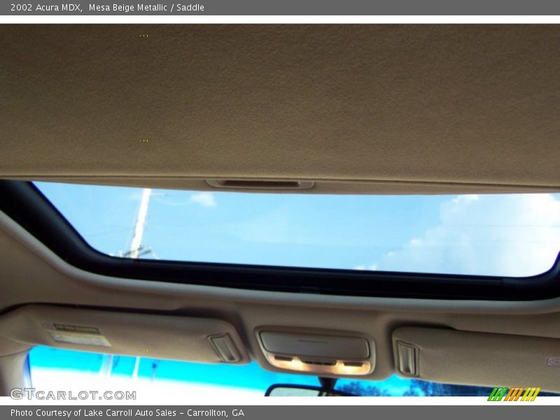 Mesa Beige Metallic / Saddle 2002 Acura MDX