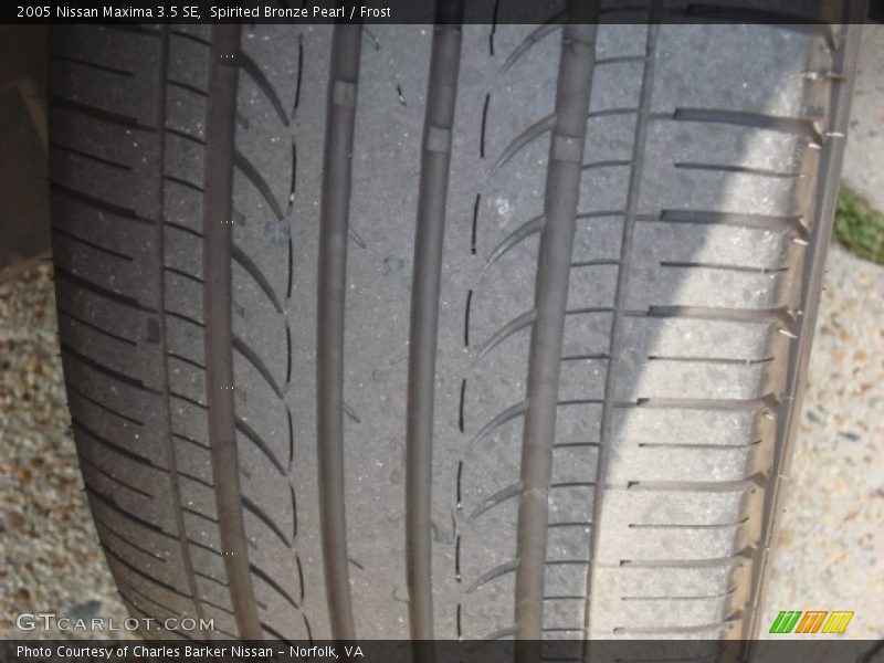 Spirited Bronze Pearl / Frost 2005 Nissan Maxima 3.5 SE