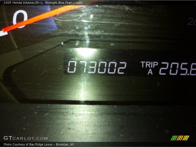 Midnight Blue Pearl / Ivory 2005 Honda Odyssey EX-L