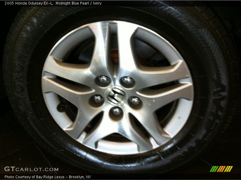 Midnight Blue Pearl / Ivory 2005 Honda Odyssey EX-L