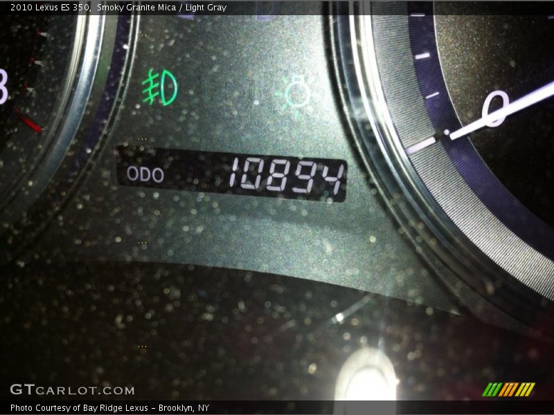 Smoky Granite Mica / Light Gray 2010 Lexus ES 350