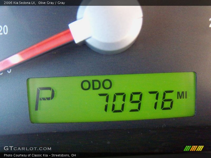 Olive Gray / Gray 2006 Kia Sedona LX