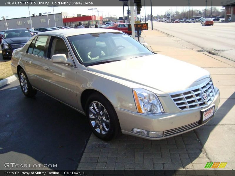 Gold Mist / Shale/Cocoa 2009 Cadillac DTS Luxury