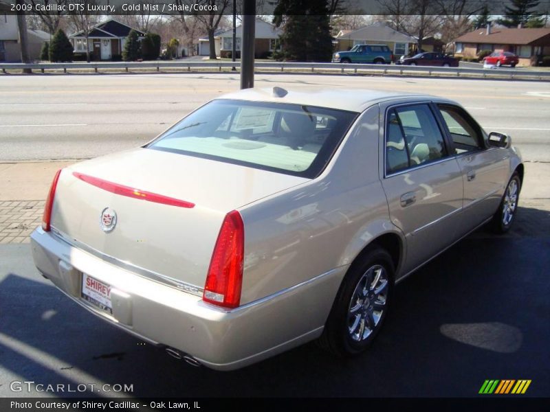 Gold Mist / Shale/Cocoa 2009 Cadillac DTS Luxury
