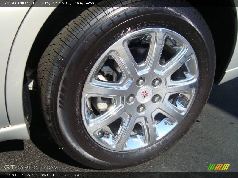Gold Mist / Shale/Cocoa 2009 Cadillac DTS Luxury