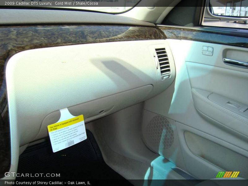 Gold Mist / Shale/Cocoa 2009 Cadillac DTS Luxury