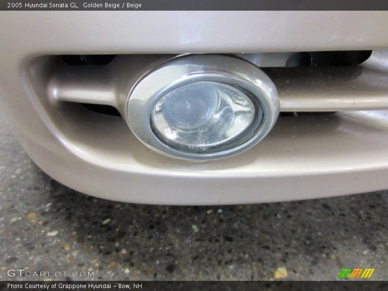 Golden Beige / Beige 2005 Hyundai Sonata GL