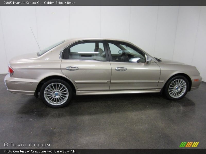 Golden Beige / Beige 2005 Hyundai Sonata GL