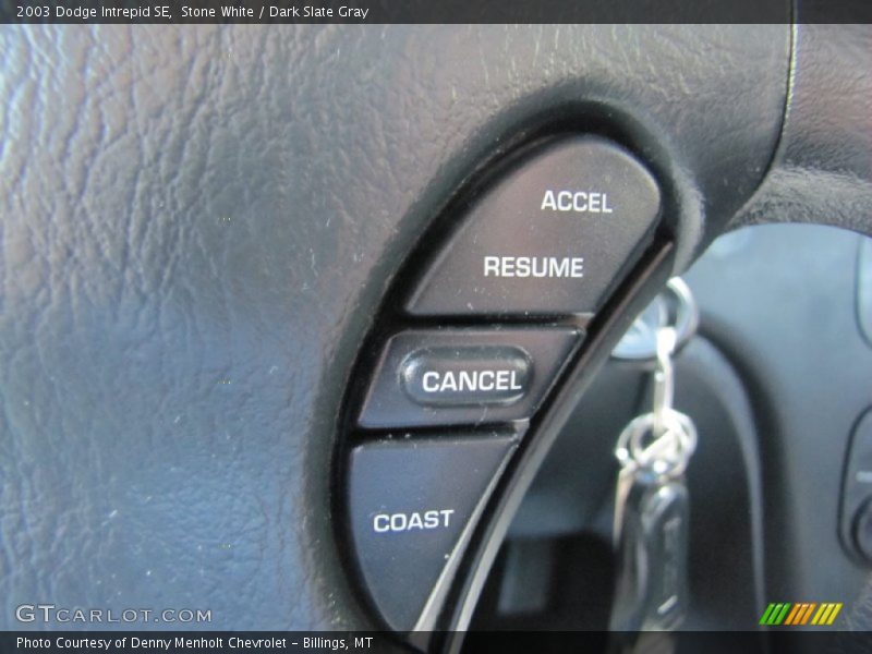 Stone White / Dark Slate Gray 2003 Dodge Intrepid SE
