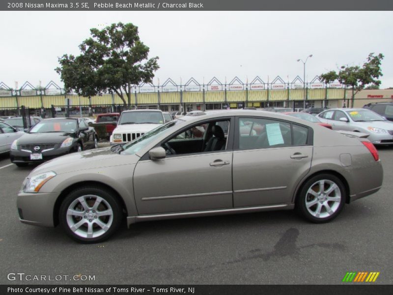 Pebble Beach Metallic / Charcoal Black 2008 Nissan Maxima 3.5 SE