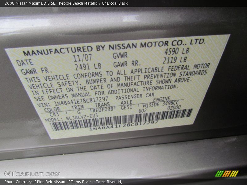 Pebble Beach Metallic / Charcoal Black 2008 Nissan Maxima 3.5 SE