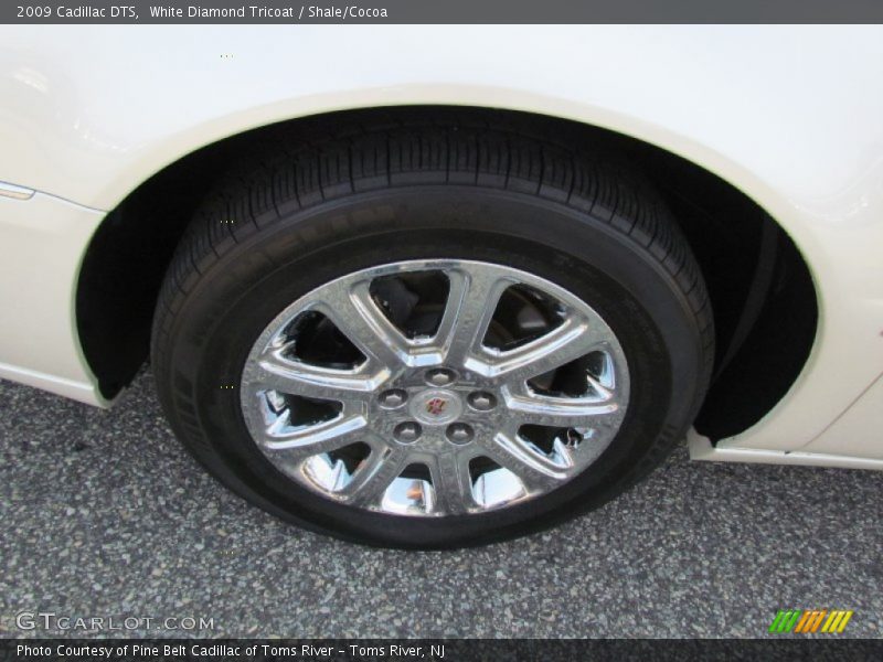 White Diamond Tricoat / Shale/Cocoa 2009 Cadillac DTS