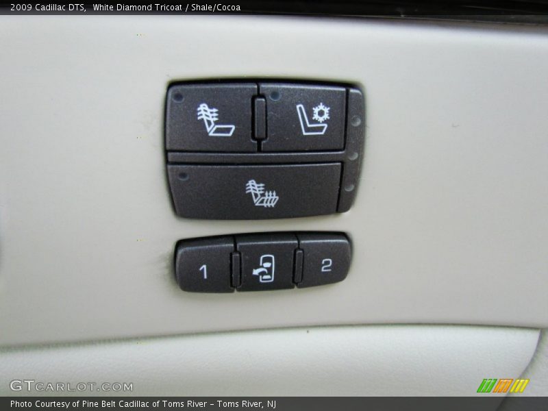 White Diamond Tricoat / Shale/Cocoa 2009 Cadillac DTS