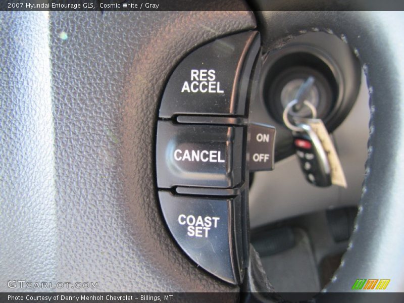 Cosmic White / Gray 2007 Hyundai Entourage GLS