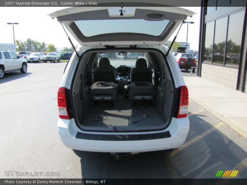 Cosmic White / Gray 2007 Hyundai Entourage GLS