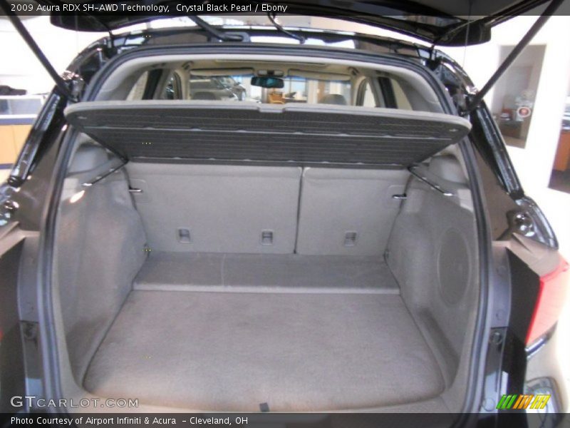 Crystal Black Pearl / Ebony 2009 Acura RDX SH-AWD Technology